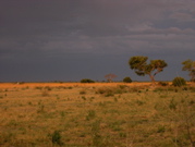 PB230095.JPG