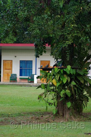 IMGP3210.jpg - Gavilan Sarapiqui Lodge