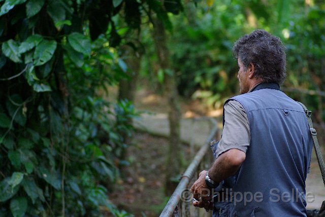 IMGP3215.jpg - La Selva OTS