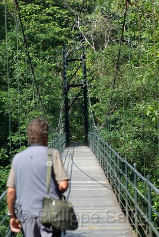 IMGP3220.jpg - La Selva OTS
