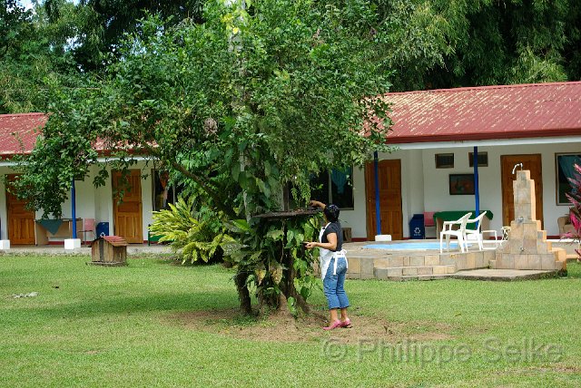 IMGP3244.jpg - Gavilan Sarapiqui Lodge