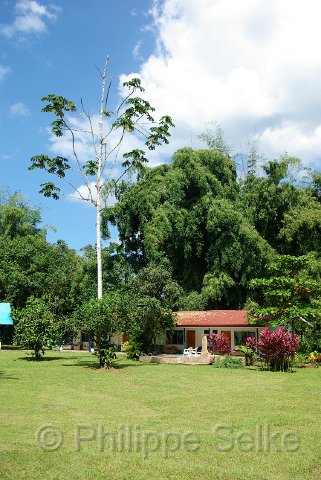 IMGP3246.jpg - Gavilan Sarapiqui Lodge