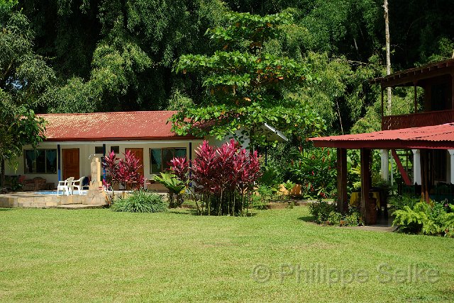 IMGP3247.jpg - Gavilan Sarapiqui Lodge