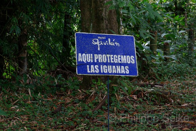 IMGP3288.jpg - Gavilan Sarapiqui Lodge