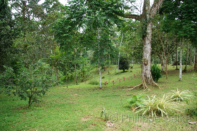 IMGP3317_2.jpg - Laguna del Lagarto lodge