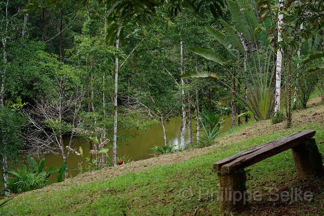IMGP3319_2.jpg - Laguna del Lagarto lodge