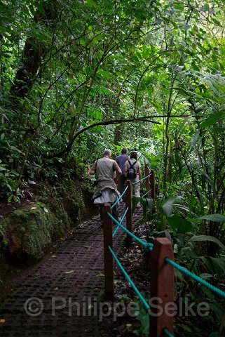 IMGP3336.jpg - Arenal Hanging bridges reserve