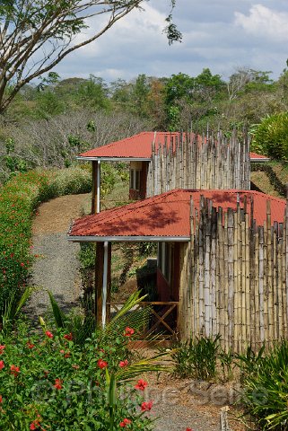 IMGP5233.jpg - Cerro lodge