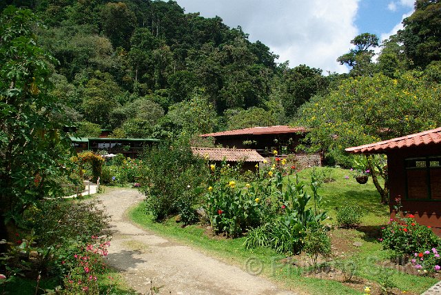 IMGP5431.jpg - Vallee de Dota - Trogon Lodge