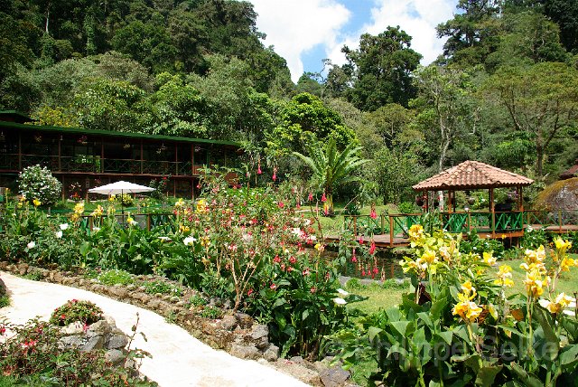 IMGP5433.jpg - Vallee de Dota - Trogon Lodge