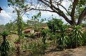 IMGP5232_2
