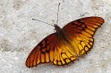 IMGP5879_2