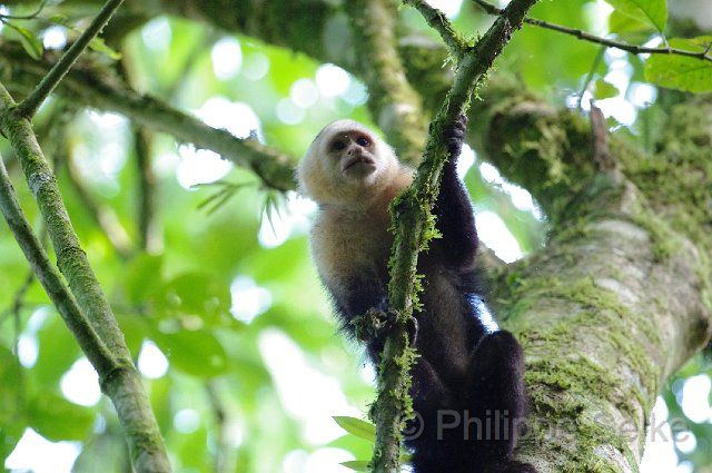 IMGP0427.jpg - La Selva OTS