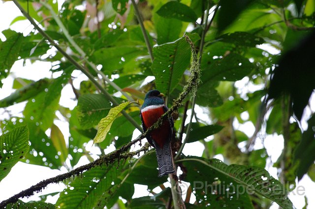 IMGP5979.jpg - Tapanti NP