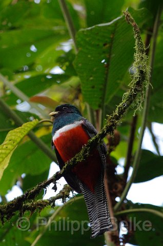 IMGP5987_2.jpg - Tapanti NP
