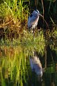 IMGP4857_2