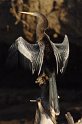 IMGP4910_2
