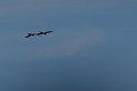 IMGP4928_2