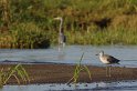 IMGP4932_2