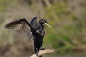 IMGP4944_2