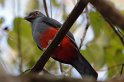 IMGP5173_2