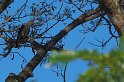 IMGP5253_2
