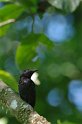 IMGP5296_2