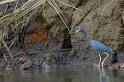 IMGP5413_2