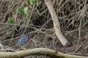 IMGP5419_2