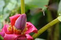 IMGP5676_2