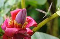 IMGP5677_2