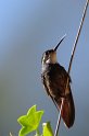 IMGP5767_2