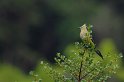 IMGP5875_2