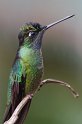IMGP5912_2