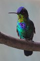 IMGP5940_2