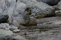 IMGP5973_2