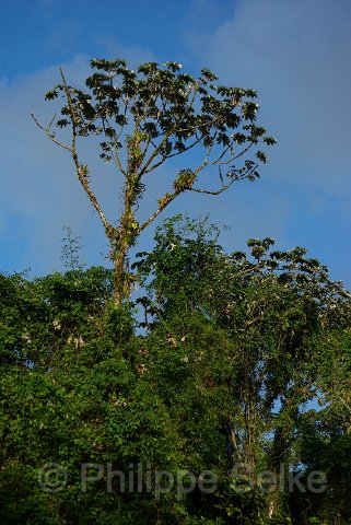 IMGP3326.jpg - alentours Volcan Arenal