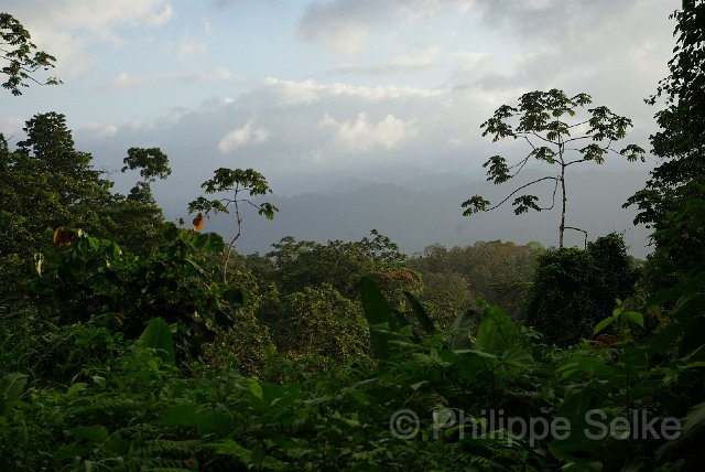 IMGP3327.jpg - alentours Volcan Arenal