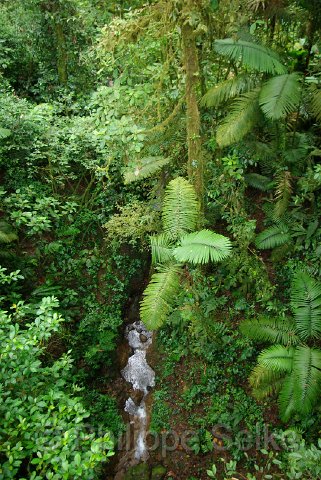 IMGP3342.jpg - Arenal Hanging bridges reserve