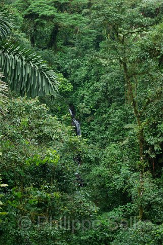 IMGP3345.jpg - Arenal Hanging bridges reserve