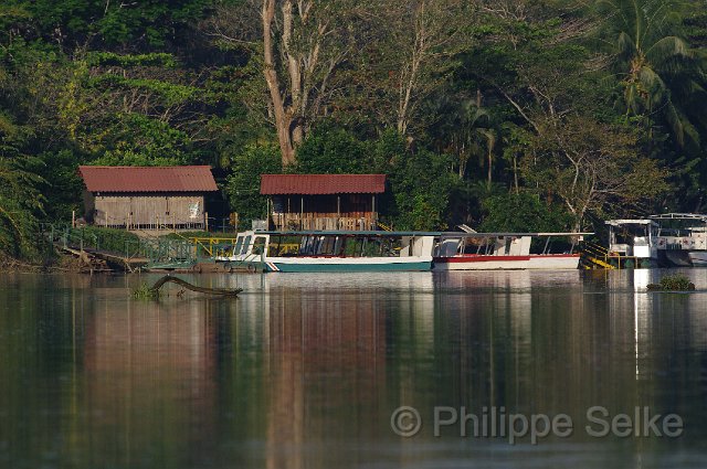 IMGP4897.jpg - Rio Tarcoles