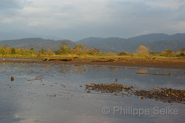 IMGP5400.jpg - Rio Tarcoles