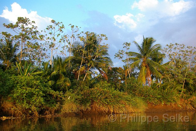 IMGP5404.jpg - Rio Tarcoles