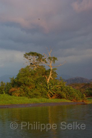 IMGP5410.jpg - Rio Tarcoles