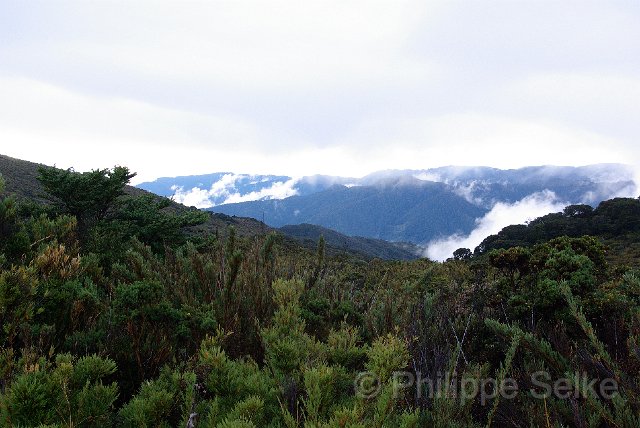 IMGP5415_2.jpg - Cerro de la Muerte