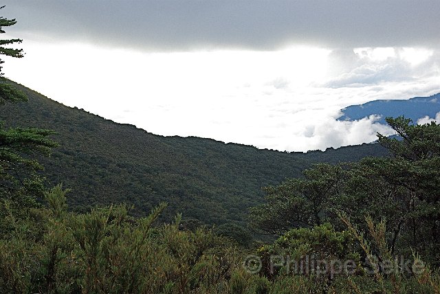 IMGP5417_2.jpg - Cerro de la Muerte