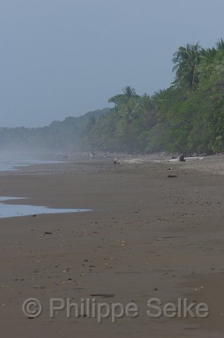 IMGP5612.jpg - Hacienda Baru