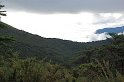 IMGP5417_2