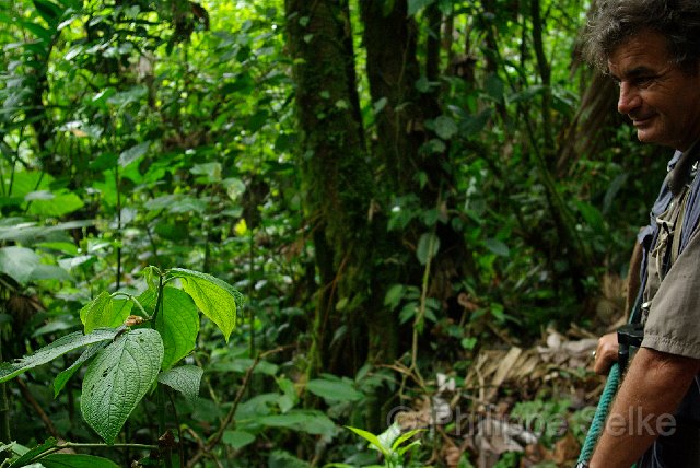 IMGP3360.jpg - Arenal Hanging bridges reserve