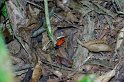 IMGP3309_2